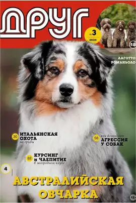 Журнал “Друг” 03/2024